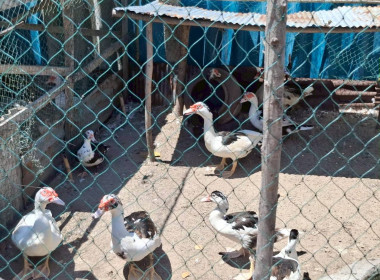 เข้าติดตามผลการใช้เงินกู้กองทุนพัฒนาสหกรณ์ ประจำปีงบประมาณ ... พารามิเตอร์รูปภาพ 6